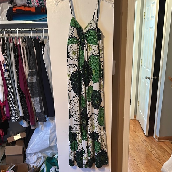 Lily Dresses & Skirts - Lily Green and Black Floral Maxi Dress